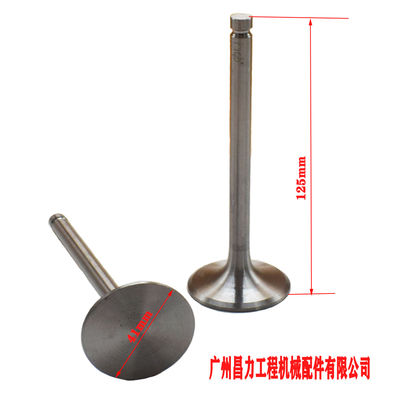 Xinchai Diesel Engine Intake Valve 490B-03014 for 490BPG A490BPG C490BPG 4D27G31 Engines with 1 to 2 Days Delivery